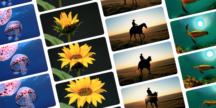 Google Veo详细介绍：可与 Sora 竞争的高清 AI 视频生成器