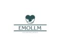 EmoLLM :一个用于心理健康领域的大模型项目 帮助用户进行心理健康辅导