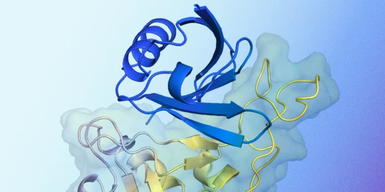 DeepMind 新的生物人工智能系统 AlphaProteo:专门设计能够与特定靶标分子结合的蛋白质